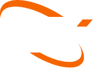 IT bedrijf Alkmaar DTX logo sepia